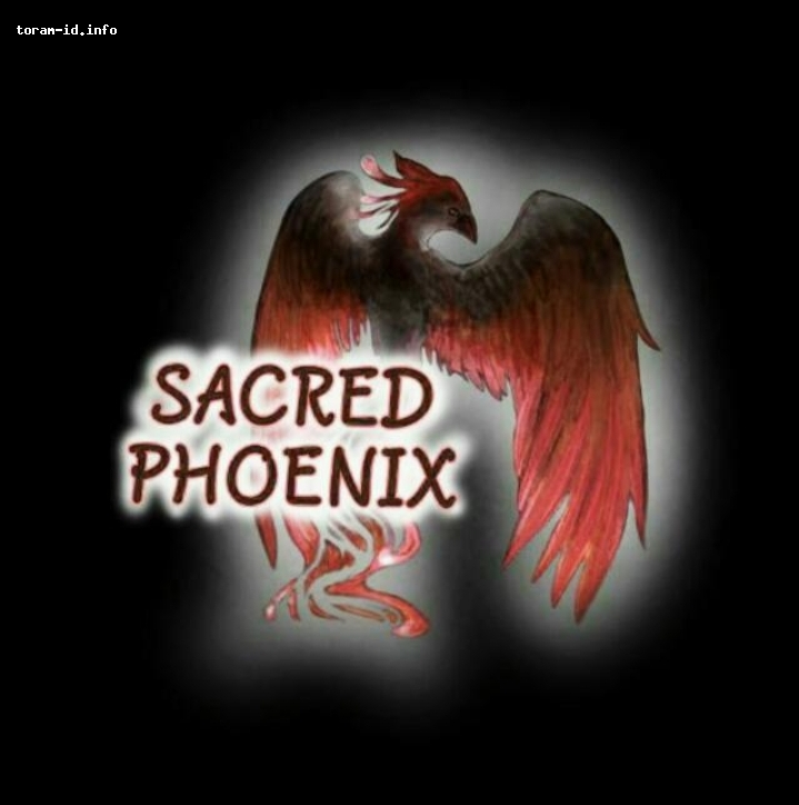 Sacred Phoenix